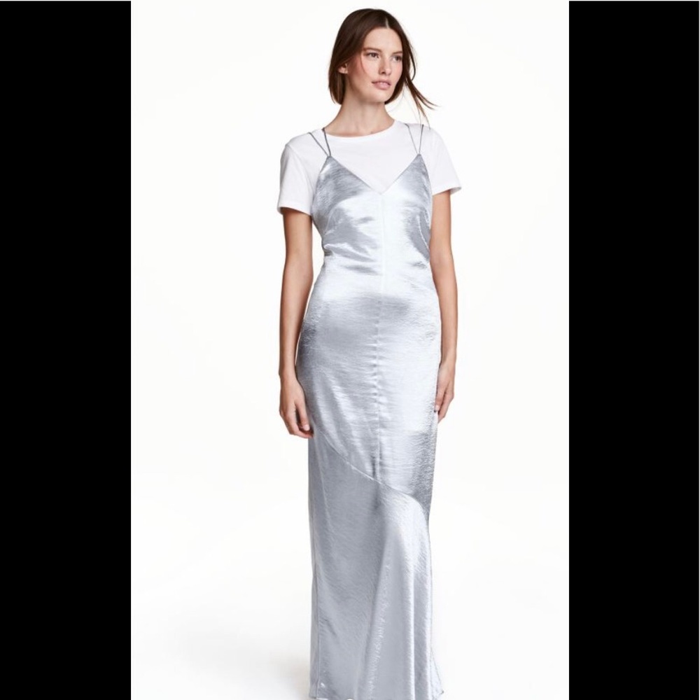 H&M Maxi Silver Dress